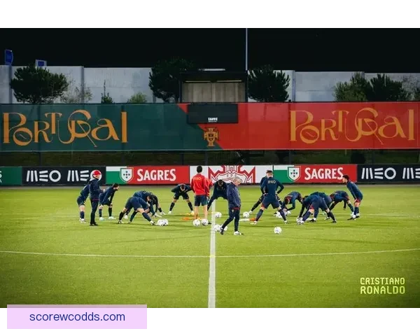 世界杯竞猜赛事推荐攻略全面解析助你精准预测夺冠热门球队走势